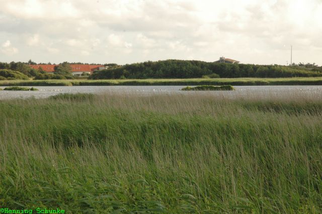 20130731 _001_DSC_5289