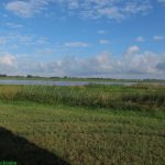 Sommer, Sonne, Sand…