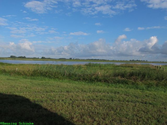 20130731 _012_IMG_1945