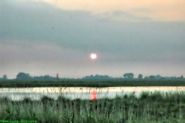 20140519 _001_DSC_6461_HDR