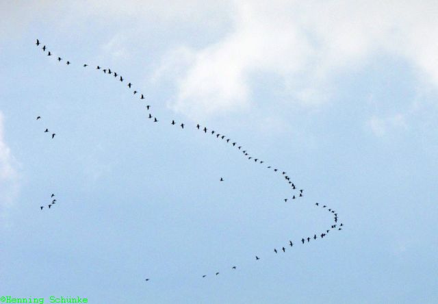 20140519 _005_IMG_7060