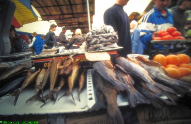 20140922 _005_20130107 _136_IMG_1695