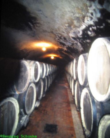 20140922 _027_IMG_1738