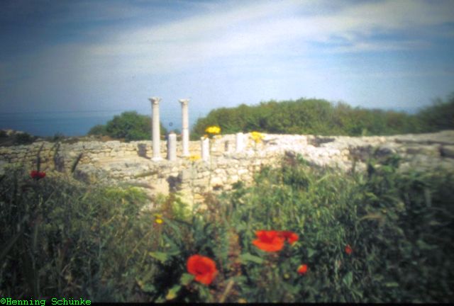 20140923 _002_20130107 _180_IMG_1752